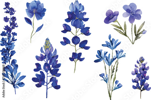 Bluebonnet watercolor clipart illustration