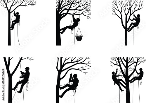 Arborists climbing and pruning trees using ropes and harnesses, professional tree workers in safety gear, black and white silhouette illustration