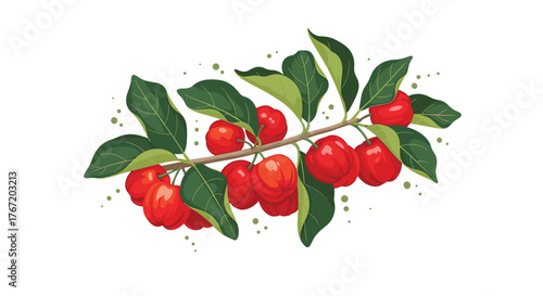 Vibrant illustration of acerola cherries on a branch, perfect for representing freshness and health benefits.