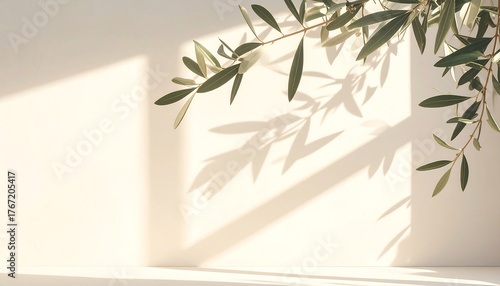 オリーブの木の葉が柔らかな光と影の中で揺れる静謐でミニマルな雰囲気の構図
