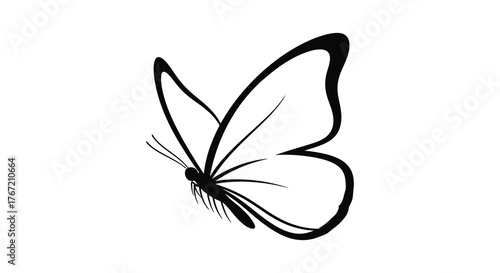 Elegant black and white outline illustration of a single butterfly wing in profile with delicate antennae