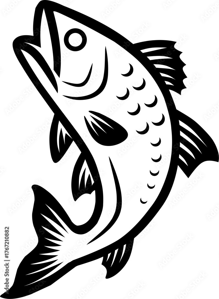 Fototapeta premium vector line art illustration of fish, isolated on white