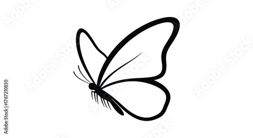 Elegant black and white line art drawing of a butterfly with delicate wings and antennae on a white background
