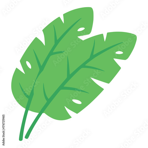 Tropical banana leaf nature plant flat color vector illustration template design
