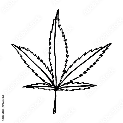 Hand drawn cannabis leaf Medicine marijuana Hemp leaves clipart in doodle style Single element for print, web, design, decor