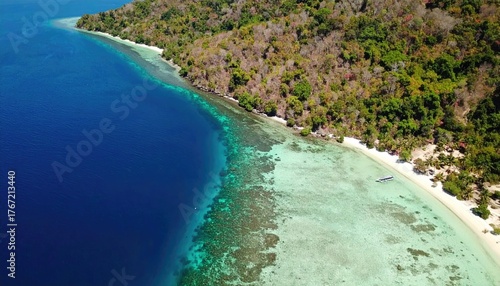 Aerial View of Tropical Island Reef and Coastline