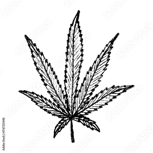 Hand drawn cannabis leaf Medicine marijuana Hemp leaves clipart in doodle style Single element for print, web, design, decor