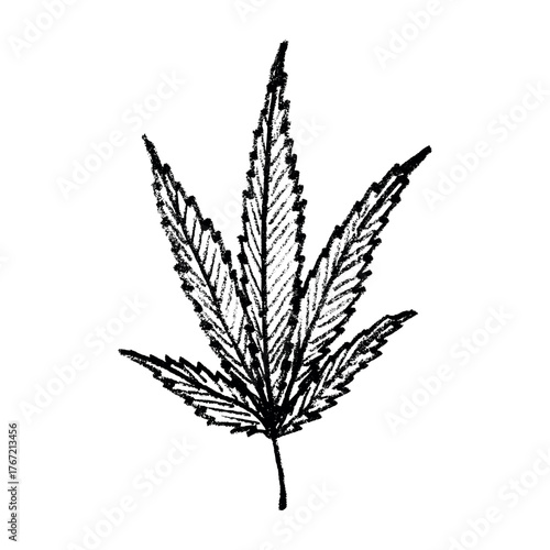 Hand drawn cannabis leaf Medicine marijuana Hemp leaves clipart in doodle style Single element for print, web, design, decor