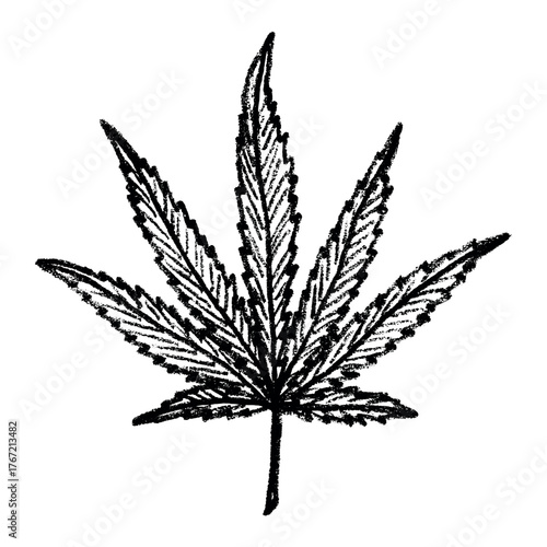 Hand drawn cannabis leaf Medicine marijuana Hemp leaves clipart in doodle style Single element for print, web, design, decor