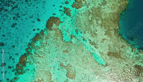 Aerial View of Turquoise Coral Reef Mosaic