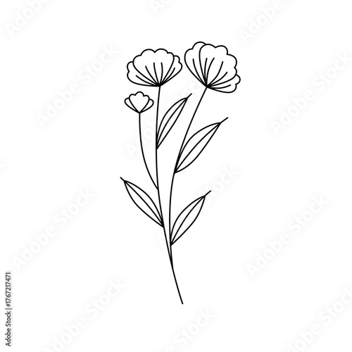 Flower line art