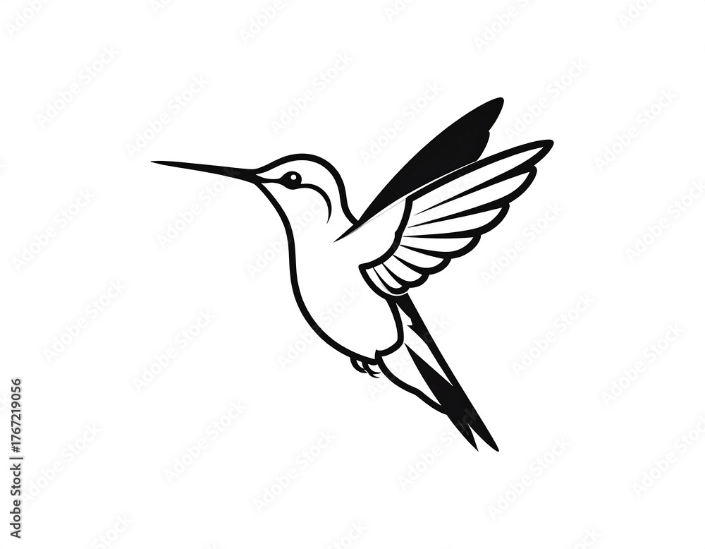 Fototapeta premium Black and white illustration of a hummingbird in mid-flight, elegant lines
