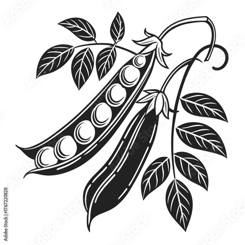 Stylized black and white peas on a vine