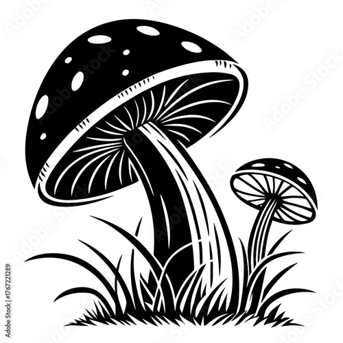 Abstract white dandelion seeds floating against a black background