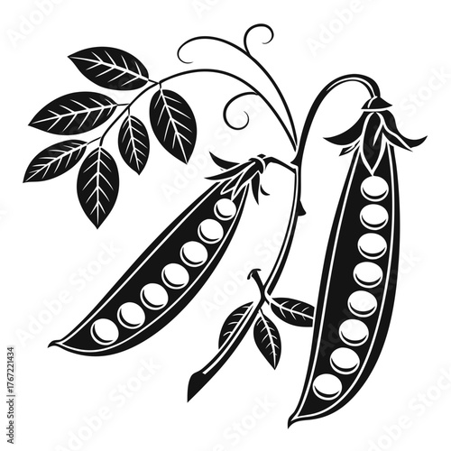Stylized black and white peas on a vine
