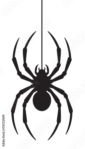 Hanging spider silhouette vector illustration isolated on white background for Halloween design
