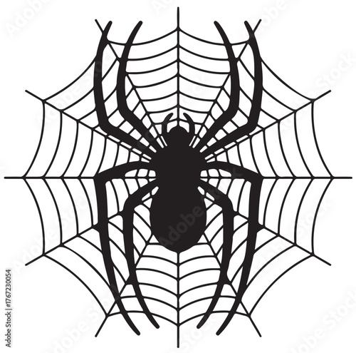 Spider on web vector illustration Halloween design element isolated on white background