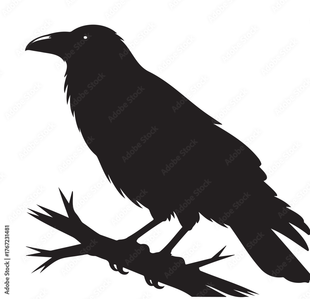Fototapeta premium Silhouette of a raven perched on a branch vector illustration perfect for Halloween or gothic designs