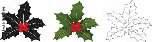 Three sprigs of holly with berries in silhouette, color, and outline illustration