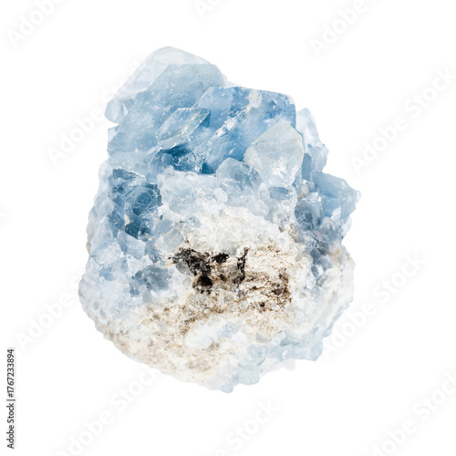 Fototapeta Raw blue celestite crystal cluster isolated on white.