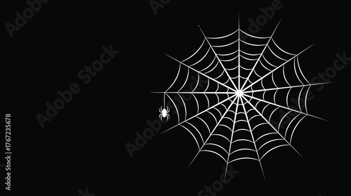 Black spider and torn web. Scary spiderweb of halloween symbol