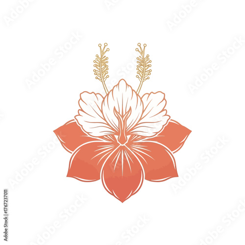 Wallpaper Mural A stylized illustration of a coral-colored hibiscus flower with delicate white petals and golden stamens. Torontodigital.ca