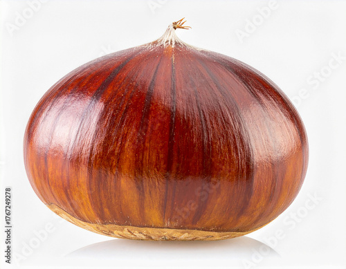 밤-알밤-밤톨-밤열매-밤껍질-근접-흰색배경