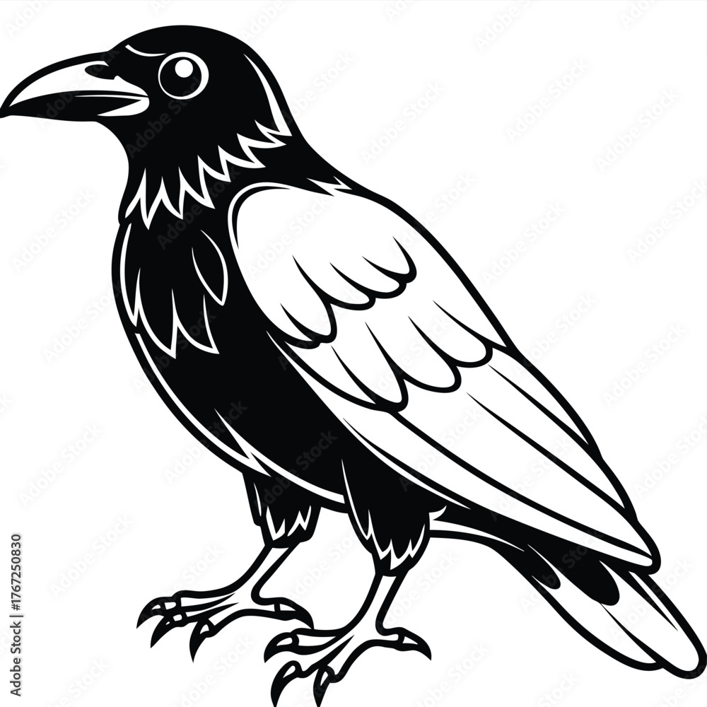 Fototapeta premium vector illustration of a crow