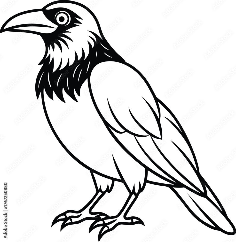 Fototapeta premium vector illustration of an eagle