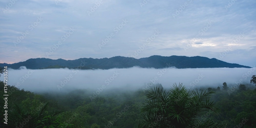 Fototapeta premium Landscape image of mountains peak and sky with the sea of clouds