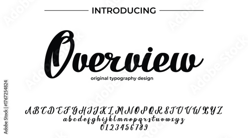 Overview - Elegant Script Font for Smooth Handwritten Design and Creative Typography