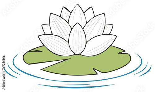 Blooming white water lily flower on a lily pad floating in water vector illustration