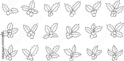 Holly berry branches set in hand drawn line art style
