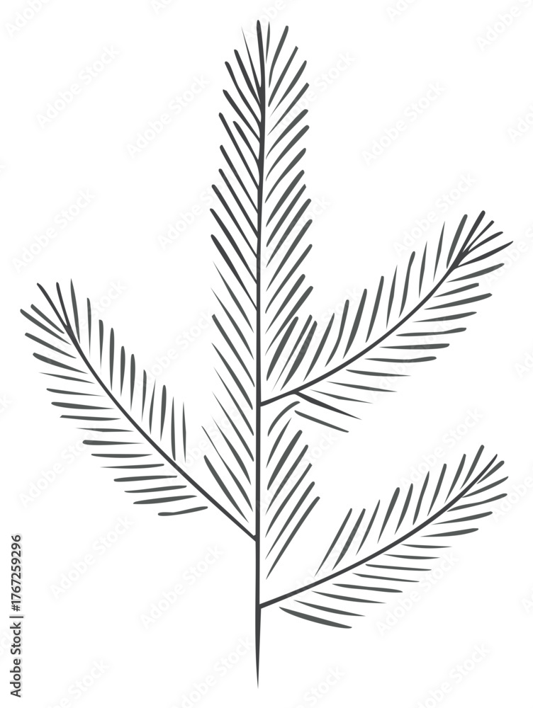 Naklejka premium Elegant Drawn Spruce Branch Design Element with Sharp Details on White Background for Winter Christmas Holiday Themes