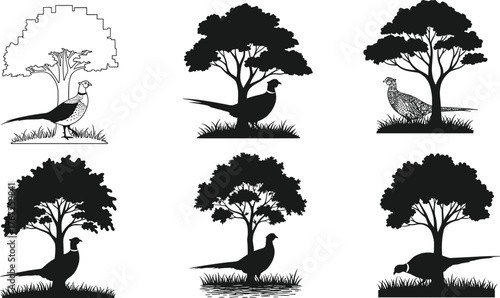 Collection of pheasant bird silhouettes under trees, wildlife vector illustration set, nature inspired black design, forest and grass landscape artwork for decoration and print
