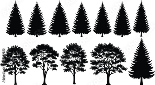 Collection of pine and deciduous tree silhouettes, forest nature vector illustration, black evergreen and oak trees design, landscape elements for background, graphic art template