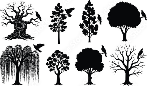 Collection of tree silhouettes with perched birds, black nature illustration set, detailed vector design, wildlife inspired forest artwork