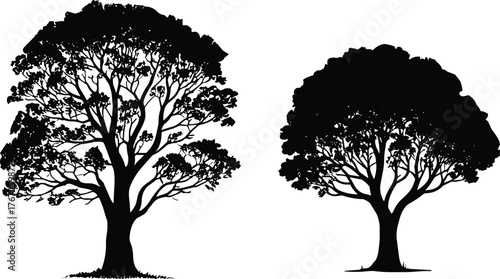 Black tree silhouettes, isolated vector illustration, nature design element, forest landscape symbol, botanical artwork, seasonal foliage, decorative plant outline, graphic art