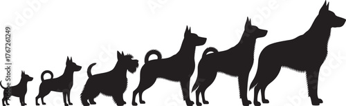 Dog growth silhouette, puppy to adult, black vector profile, canine development stages, pet evolution, animal size chart, isolated white background, educational, cute