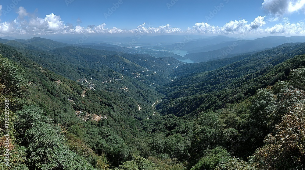 Naklejka premium Green forested mountain valley with a river under a blue sky with clouds.