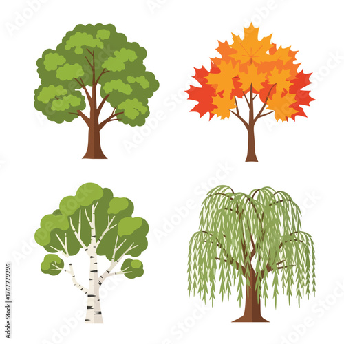 Diverse flat design tree types park forest seasons vector illustration flat design nature birch maple willow elm icon graphic