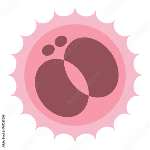 2 Cell Stage Early Embryo Division
