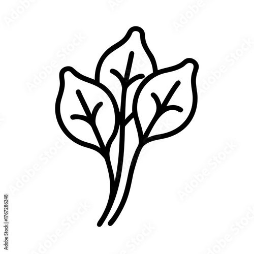 Malabar spinach silhouette on white background