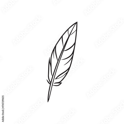 detailed hand drawn single bird feather black outline line art vector illustration.