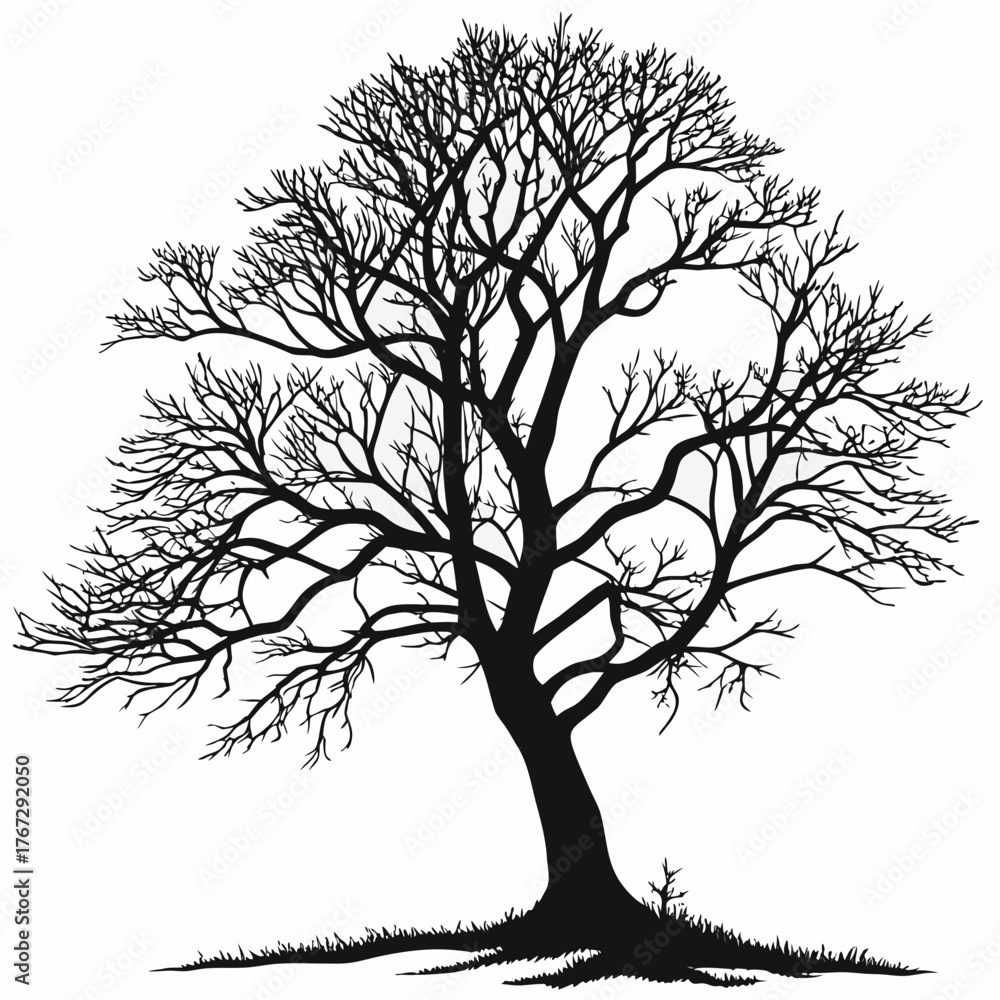 Obraz premium vector tree silhouette