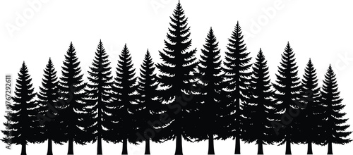 Dense pine forest silhouette with tall evergreen trees, black woodland landscape vector, nature illustration for outdoor, winter and mountain design