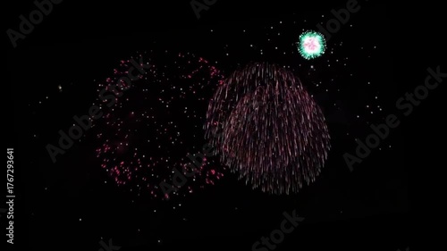 Animation colorful fireworks on black background.	
