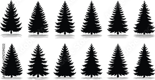 Collection of pine tree silhouettes isolated on white background, evergreen conifer forest shapes, black natural elements for winter landscape design