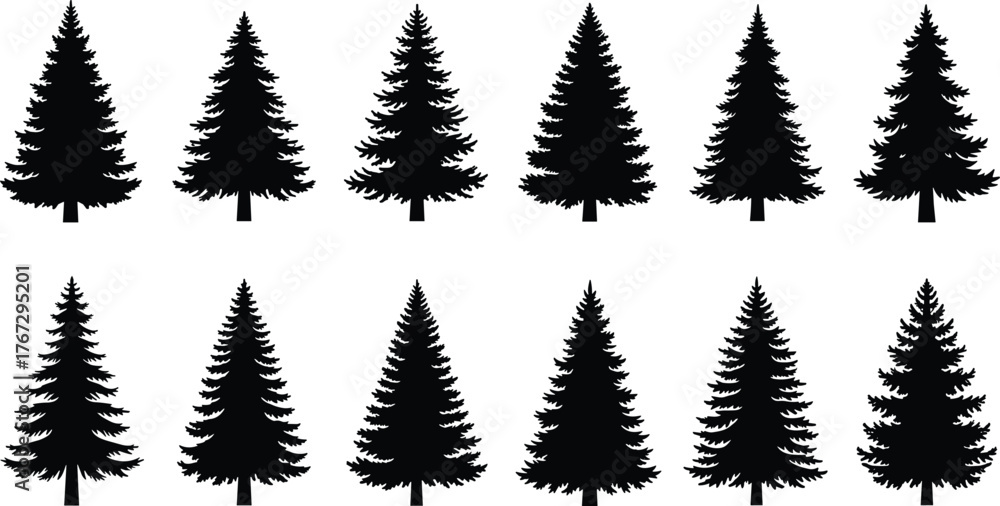 Fototapeta premium Collection of black pine tree silhouettes isolated on white background, evergreen forest icons, conifer trees vector set, minimal nature design