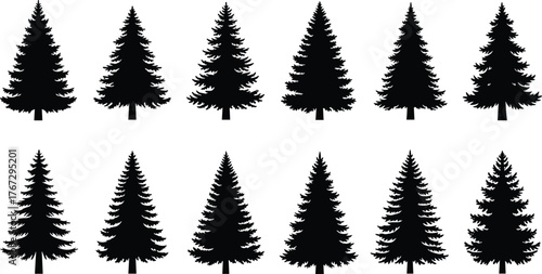 Collection of black pine tree silhouettes isolated on white background, evergreen forest icons, conifer trees vector set, minimal nature design